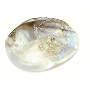 Parelmoer - Wink bracelets